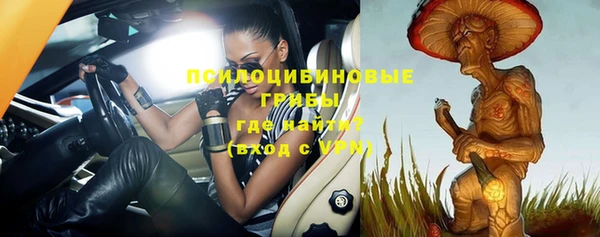 прущая мука Верхний Тагил