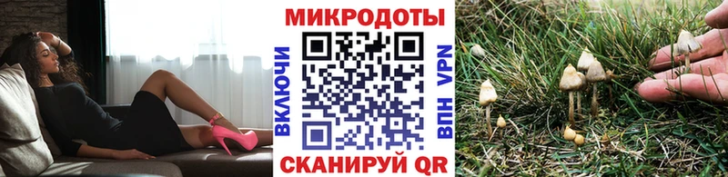 Псилоцибиновые грибы GOLDEN TEACHER  где можно купить   Иркутск 