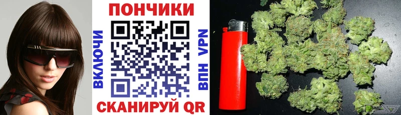MEGA зеркало  Иркутск  Бошки марихуана планчик 